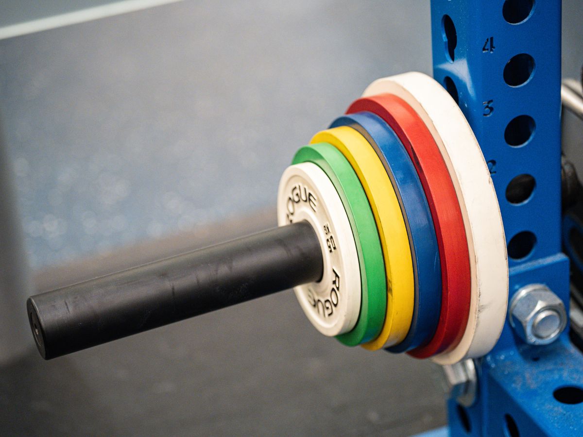 Untitled design - 81